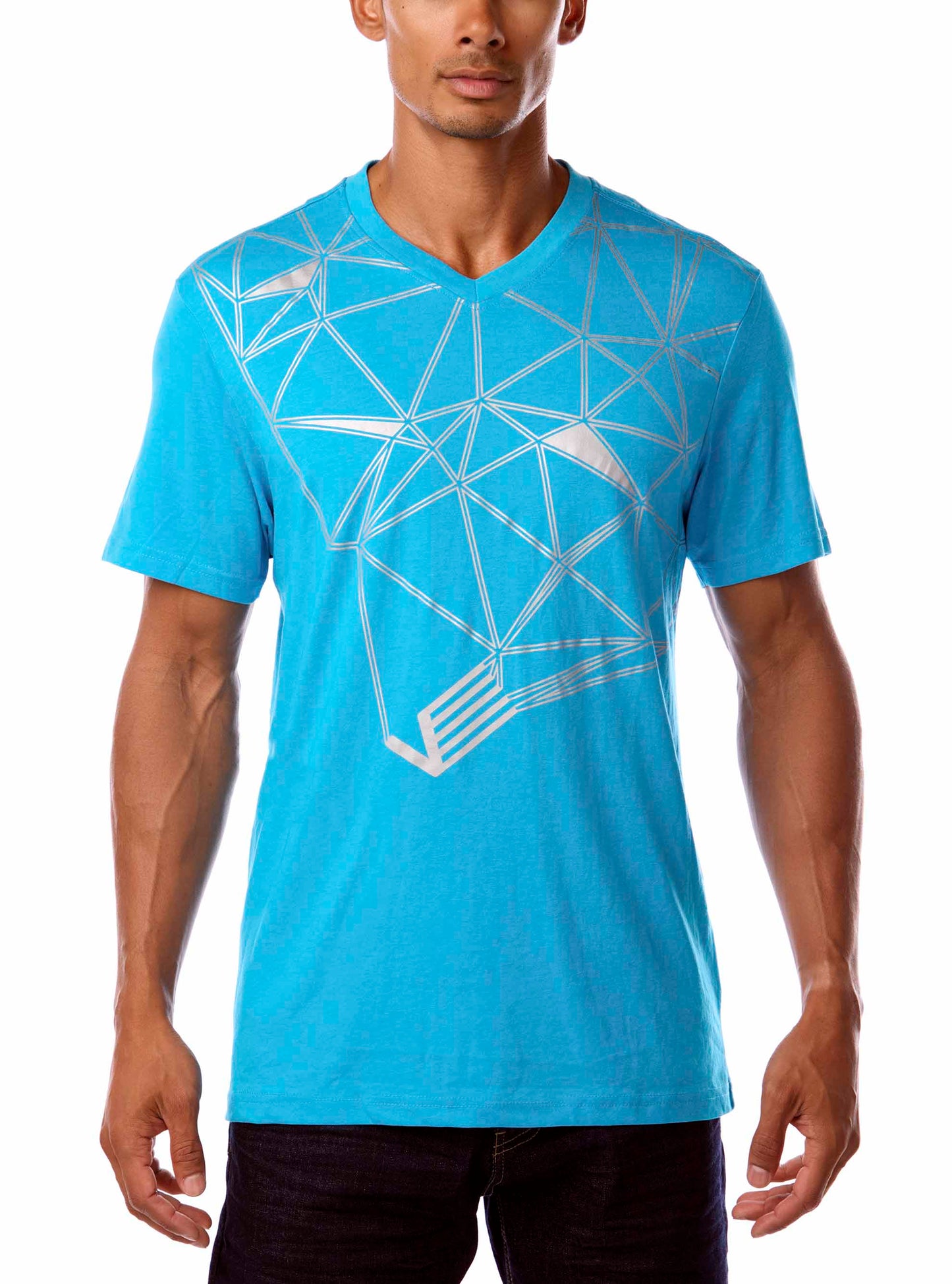 Men's v neck short sleeve t-shirt
