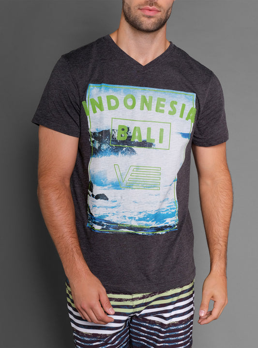Men's v neck short sleeve t-shirt