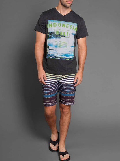 Men's v neck short sleeve t-shirt